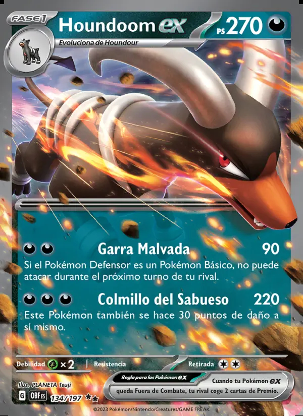 Image of the card Houndoom ex