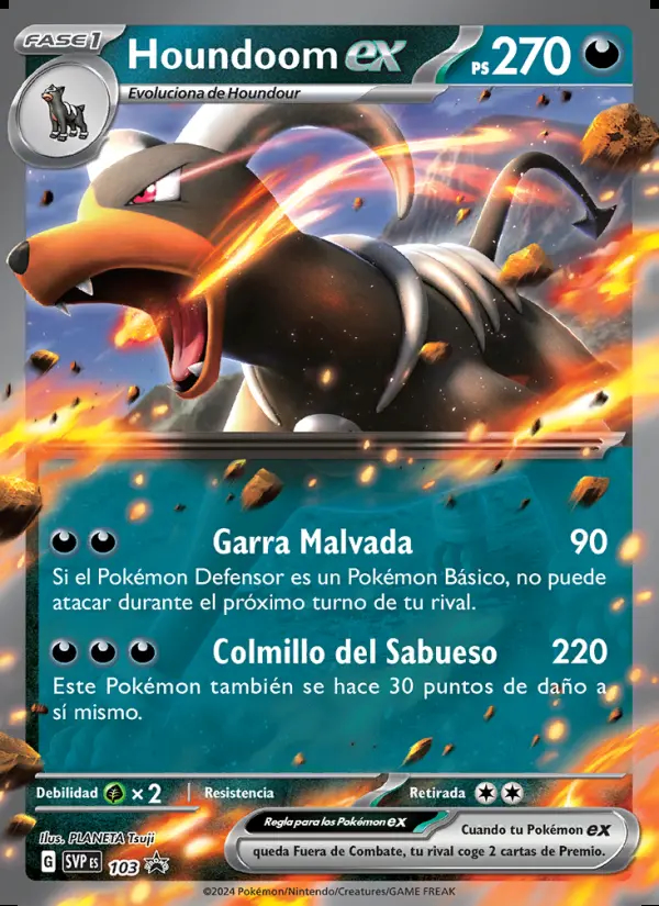 Image of the card Houndoom ex