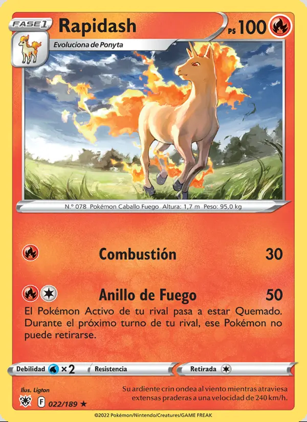 Image of the card Rapidash