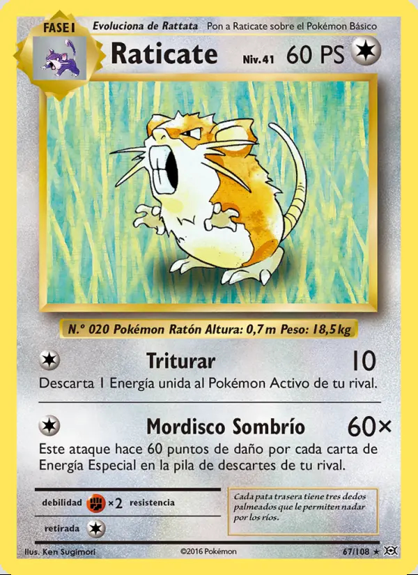 Image of the card Raticate